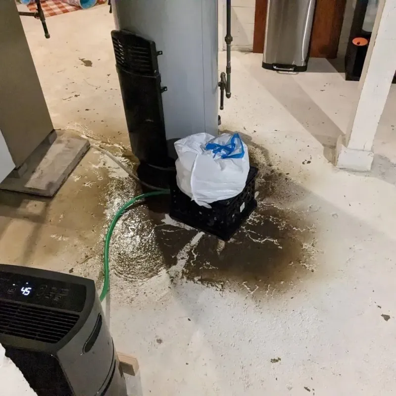 Sewage Backup Cleanup Service in Glenarden, MD